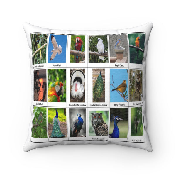 Remarkable Birds (Version 3)