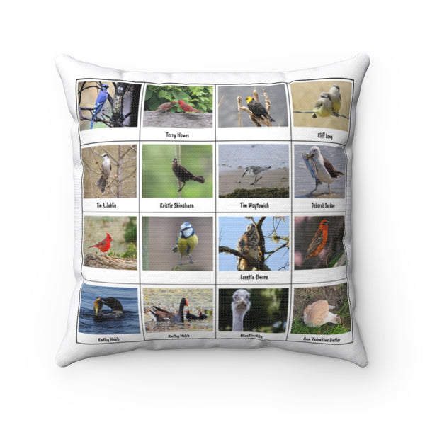 Beautiful Bird Photography (Version 5)