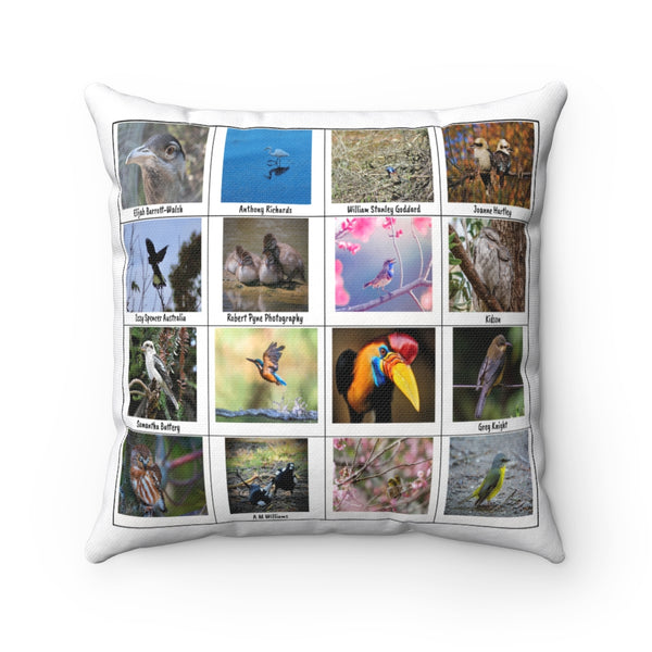 Exceptional Bird Photography (Version 4)