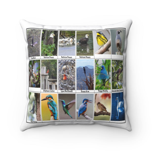 Splendid Bird Photography (Version 7)