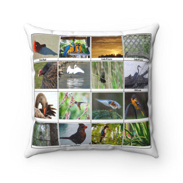 Stunning Bird Photography (Version 8)