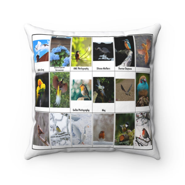 Fantastic Bird Photography (Version 7)