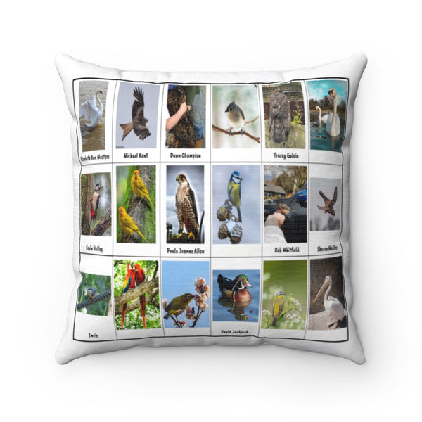 Spectacular Bird Photography (Version 6)