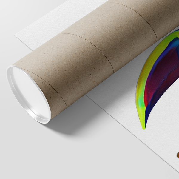 Toucan Poster