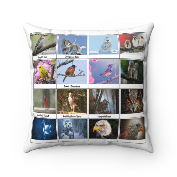 Magnificent Bird Photography (Version 8)
