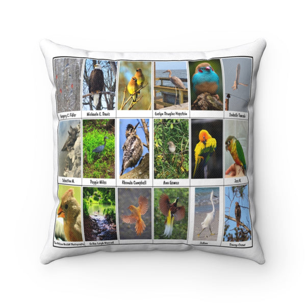 Sensational Bird Photography (Version 6)