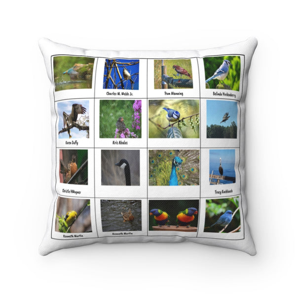Dazzling Bird Photography (Version 2)