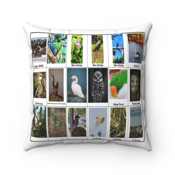 Wondrous Bird Photography (Version 3)