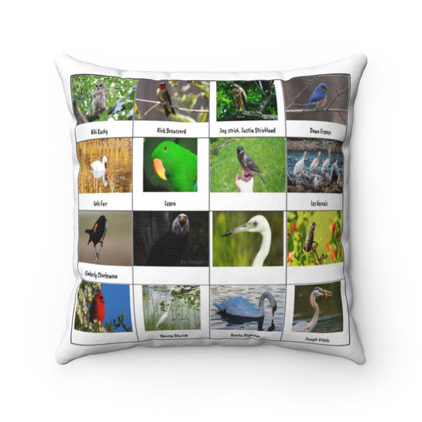 Lovely Bird Photography (Version 3)