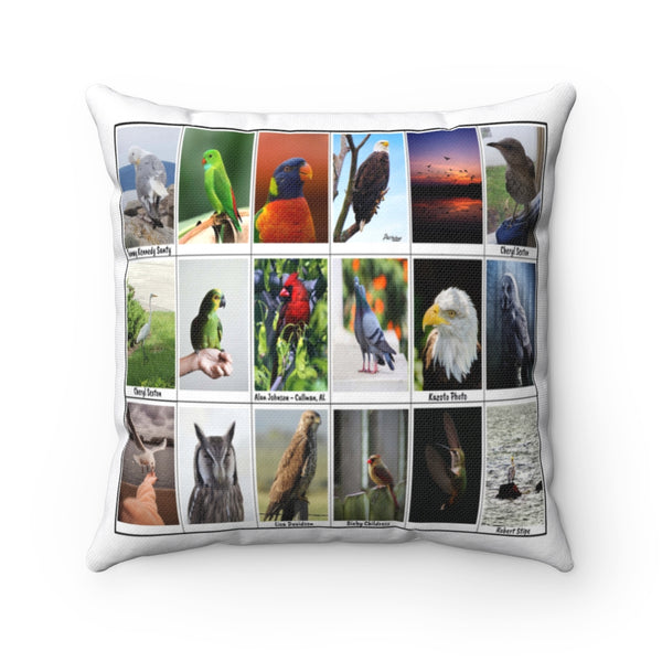 Stunning Bird Photography (Version 7)