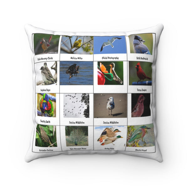 Lovely Bird Photography (Version 4)