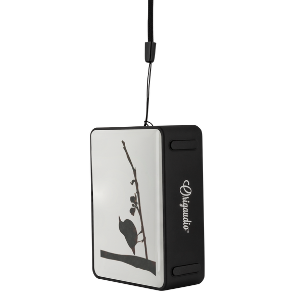 Black Bird Bluetooth Speaker Boxanne