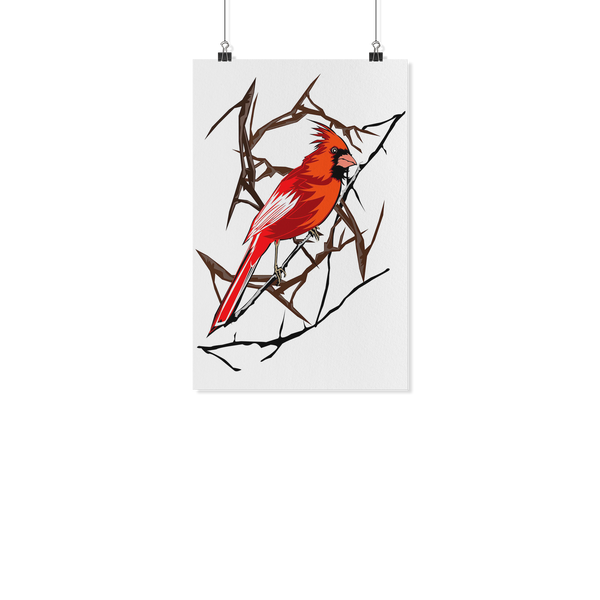 Northern Cardinal Bird Poster