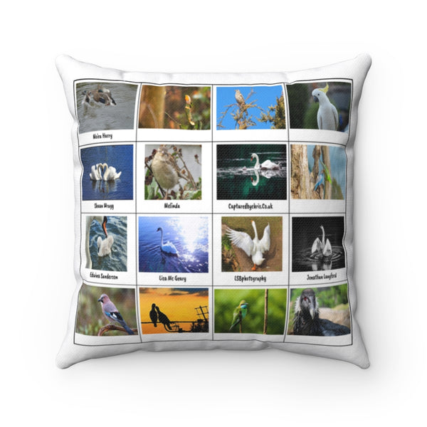 Excellent Bird Photography (Version 4)