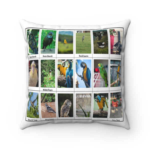Beautiful Bird Photography (Version 1)