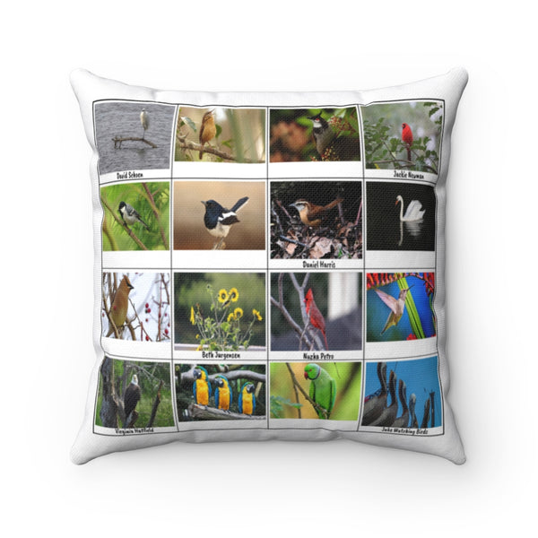 Splendid Bird Photography (Version 7)