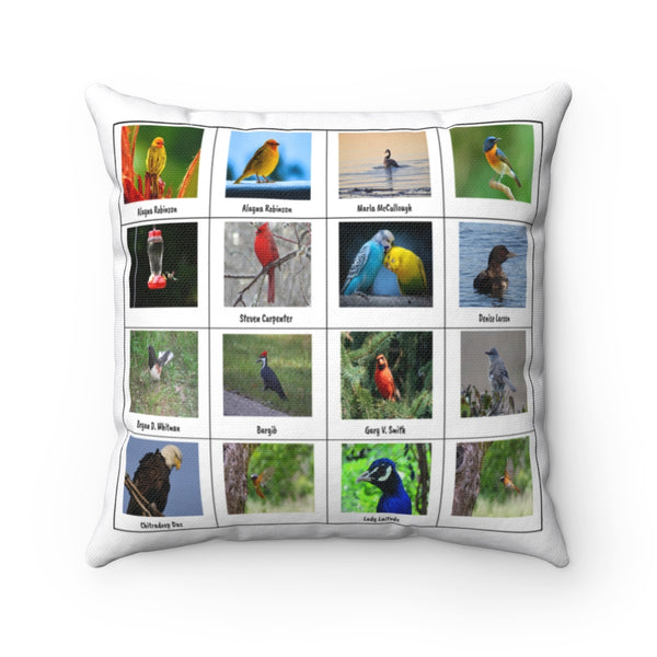 Graceful Bird Photography (Version 6)