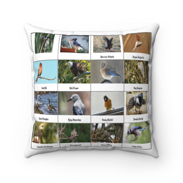 Lovely Bird Photography (Version 5)