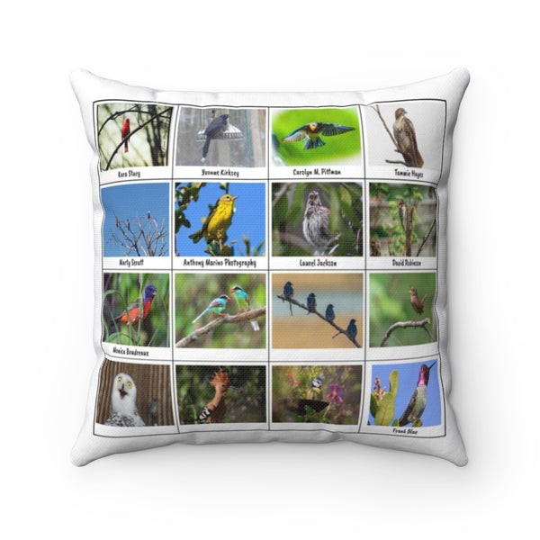 Extraordinary Birds (Version 6)