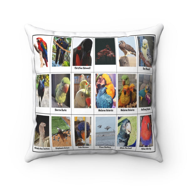 Stunning Birds (Version 1)