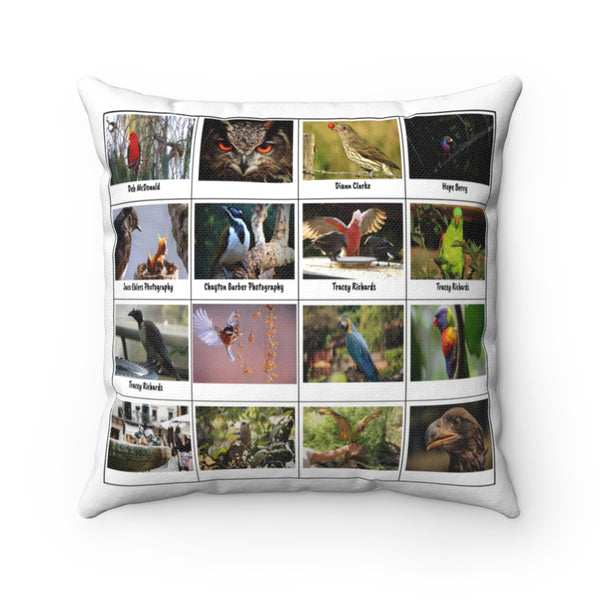 Stunning Birds (Version 8)