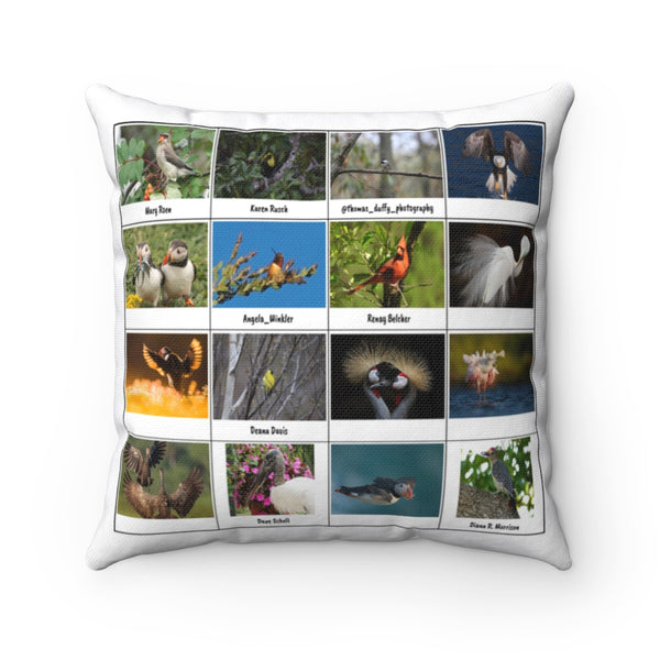 Riveting Bird Photography (Version 4)