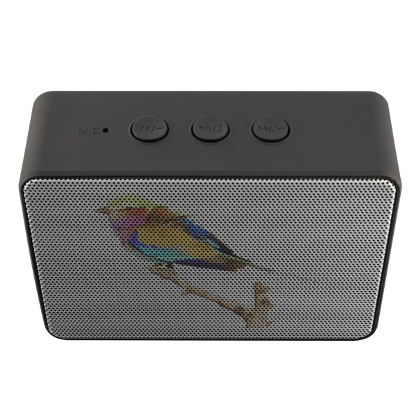 Lilac-breasted Roller Bluetooth Speaker Boxanne