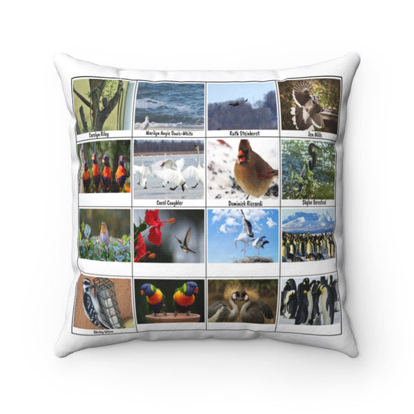 Splendid Bird Photography (Version 4)