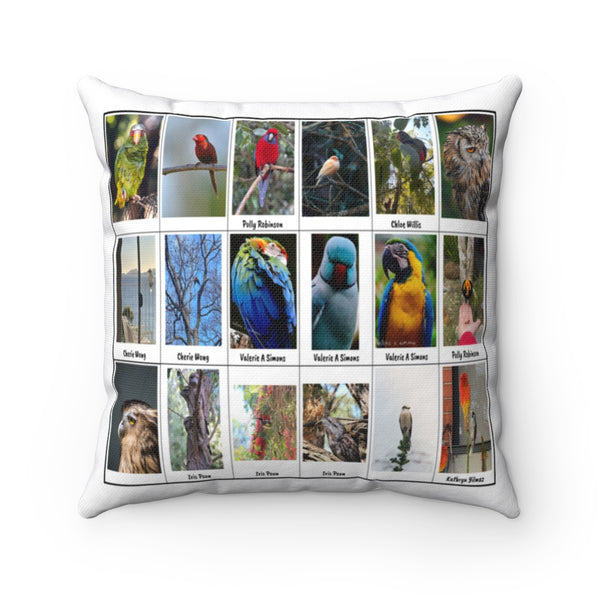 Wondrous Bird Photography (Version 4)