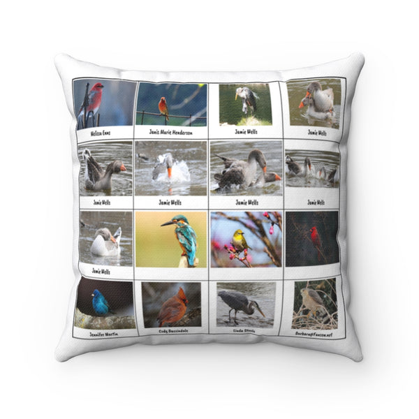 Brilliant Bird Photography (Version 1)