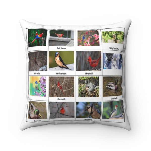 Remarkable Bird Photography (Version 5)