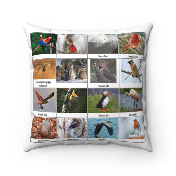 Amazing Bird Photography (Version 1)