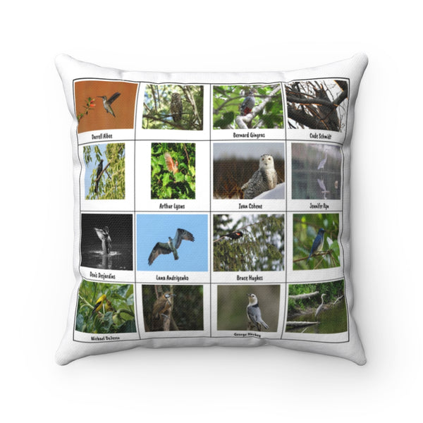 Remarkable Bird Photography (Version 3)