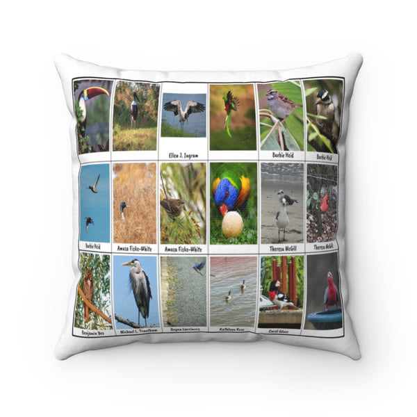 Extraordinary Birds (Version 6)