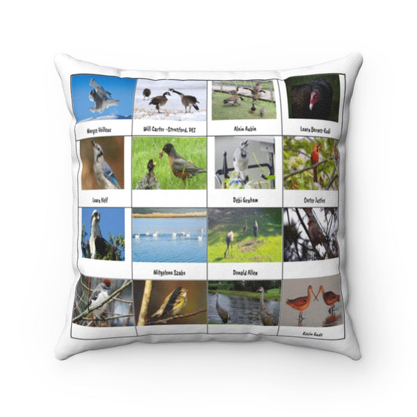 Lovely Bird Photography (Version 6)