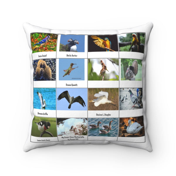 Special Bird Photography (Version 4)