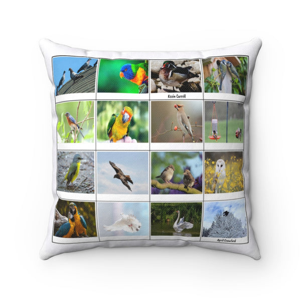 Great Bird Photography (Version 8)
