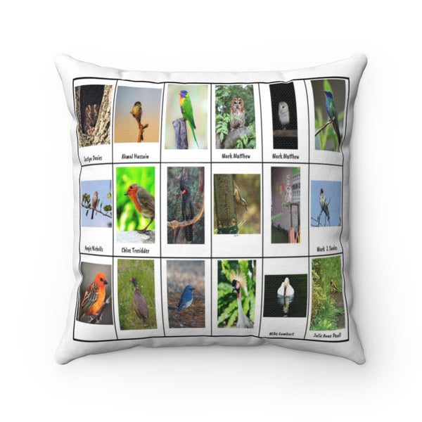 Wonderful Bird Photography (Version 4)