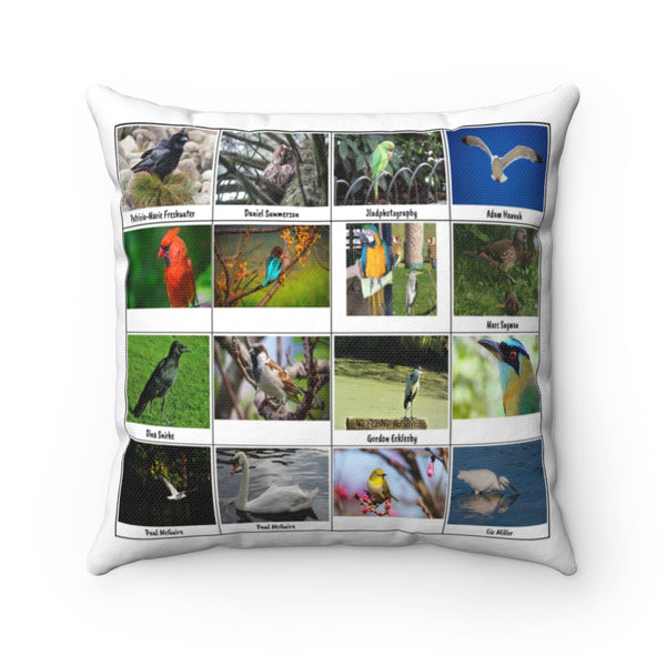 Fabulous Bird Photography (Version 1)