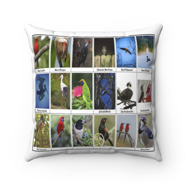 Extraordinary Birds (Version 3)