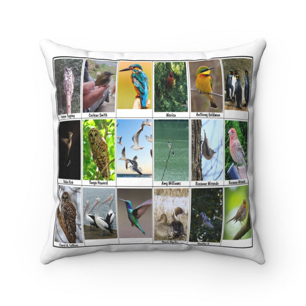 Splendid Bird Photography (Version 4)