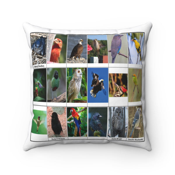 Amazing Bird Photography (Version 4)