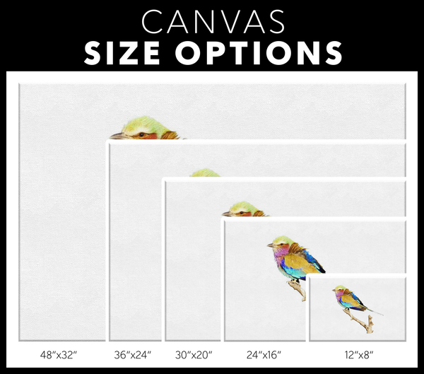 Lilac-breasted Roller Canvas Wrap