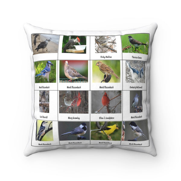 Special Bird Photography (Version 8)