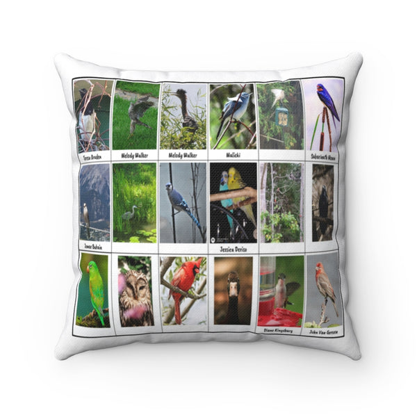 Marvelous Bird Photography (Version 7)