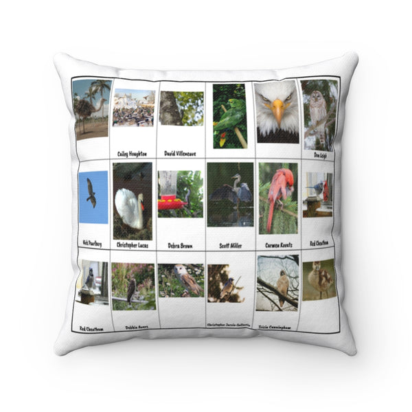 Impressive Bird Photography (Version 6)