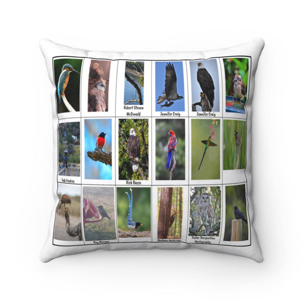 Bird Photography (Version 6)