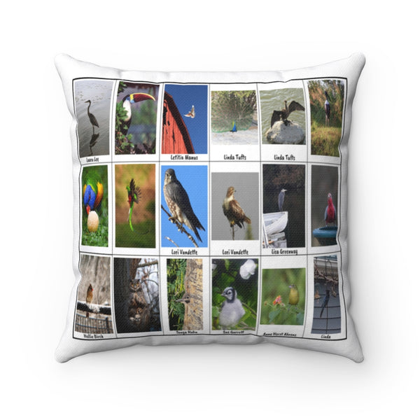 Bird Photography (Version 3)