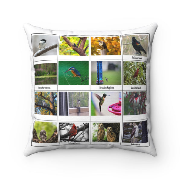 Extraordinary Bird Photography (Version 6)