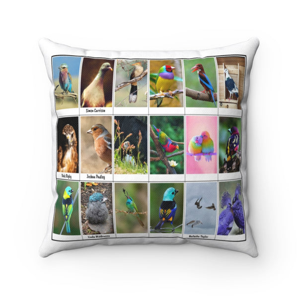 Fantastic Bird Photography (Version 1)